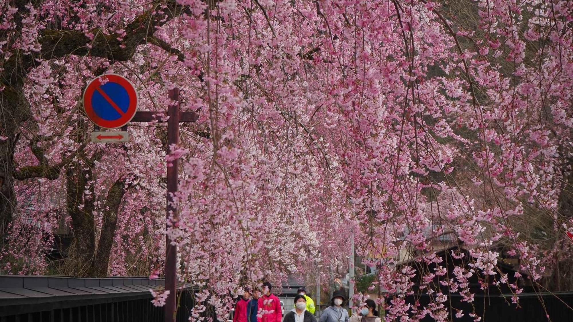 Kashintei Shirahama Hotel Szenboku Kültér fotó