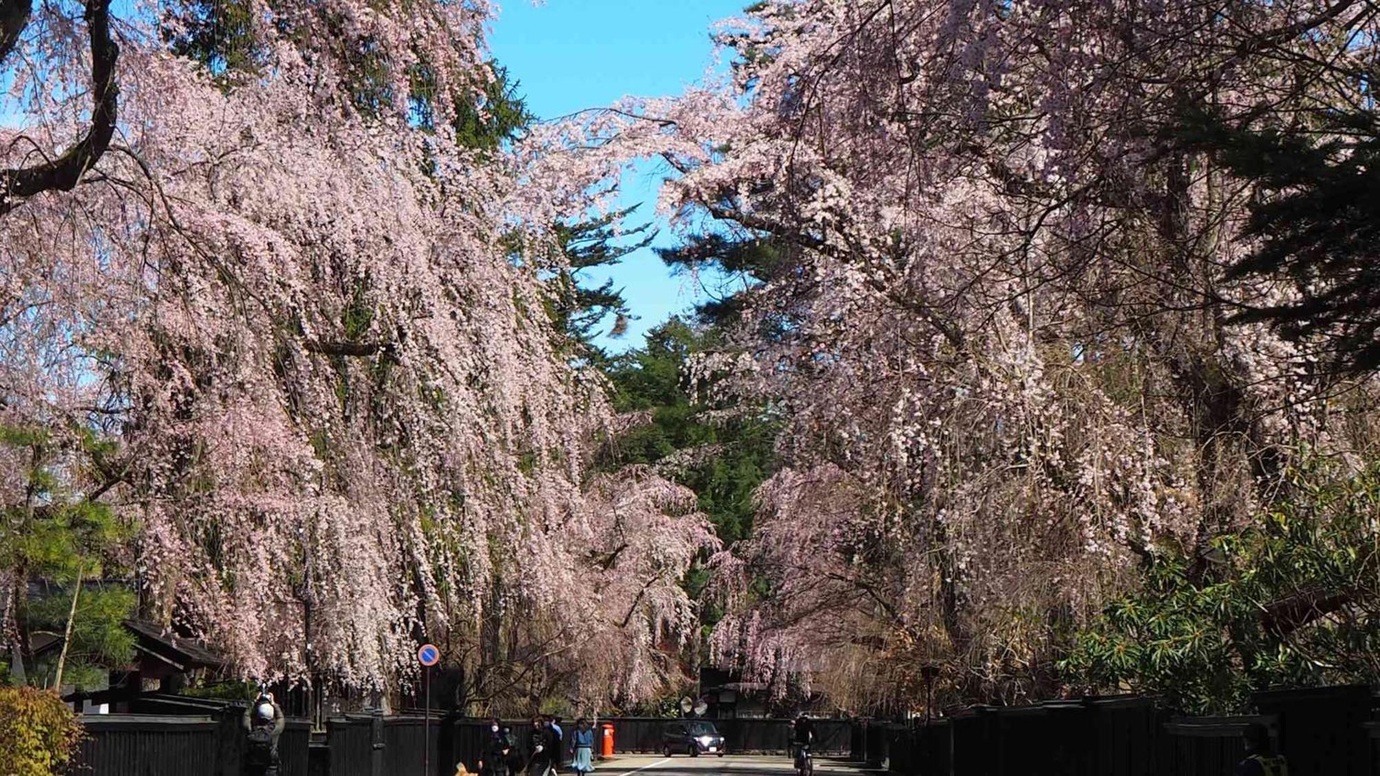 Kashintei Shirahama Hotel Szenboku Kültér fotó