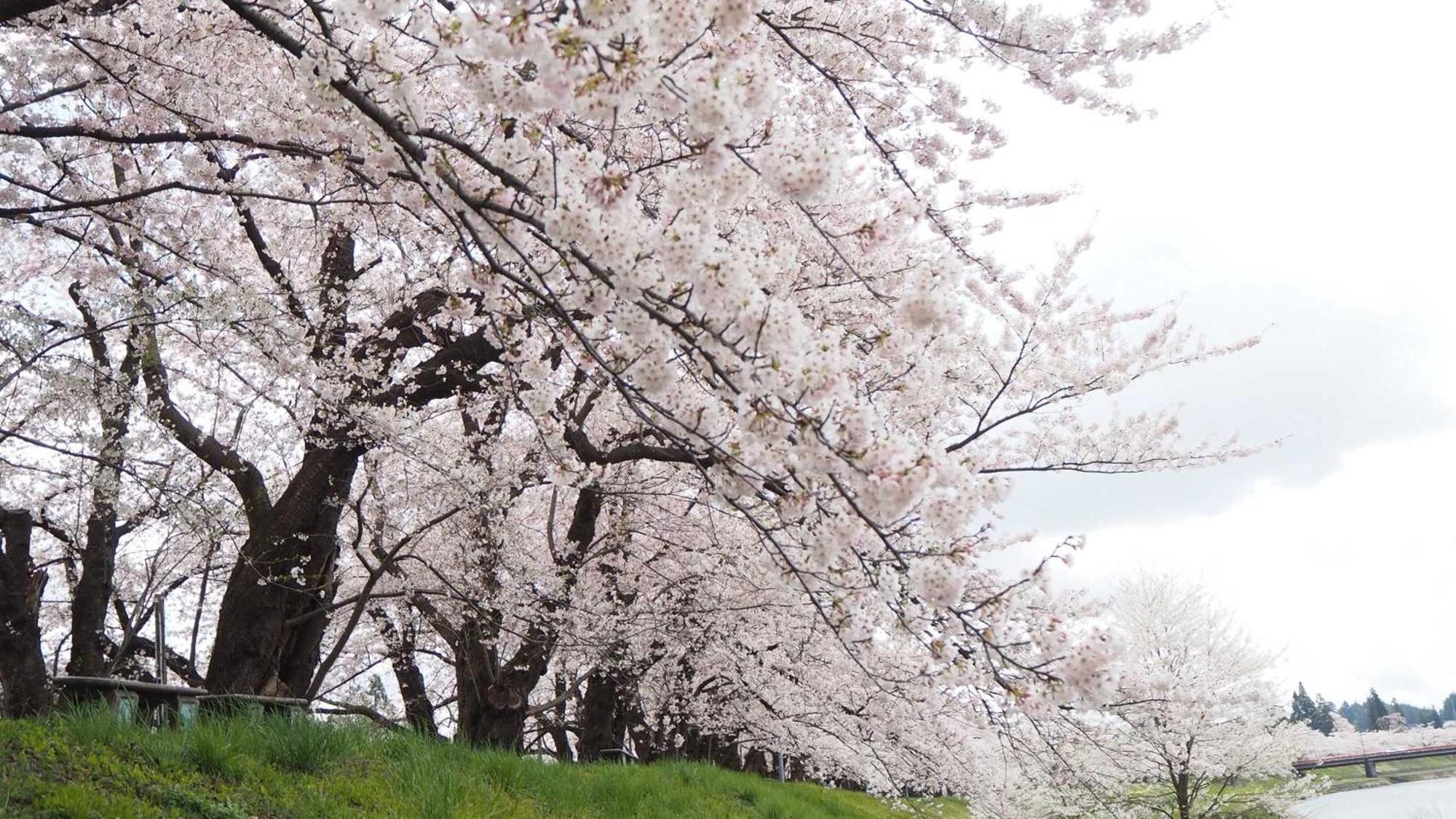 Kashintei Shirahama Hotel Szenboku Kültér fotó